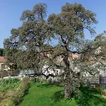 Clos Des Chenes - Terrace With Sea View, Modern, Ac Apartment