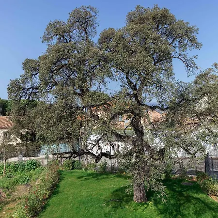 Clos Des Chenes - Terrace With Sea View, Modern, Ac Apartment